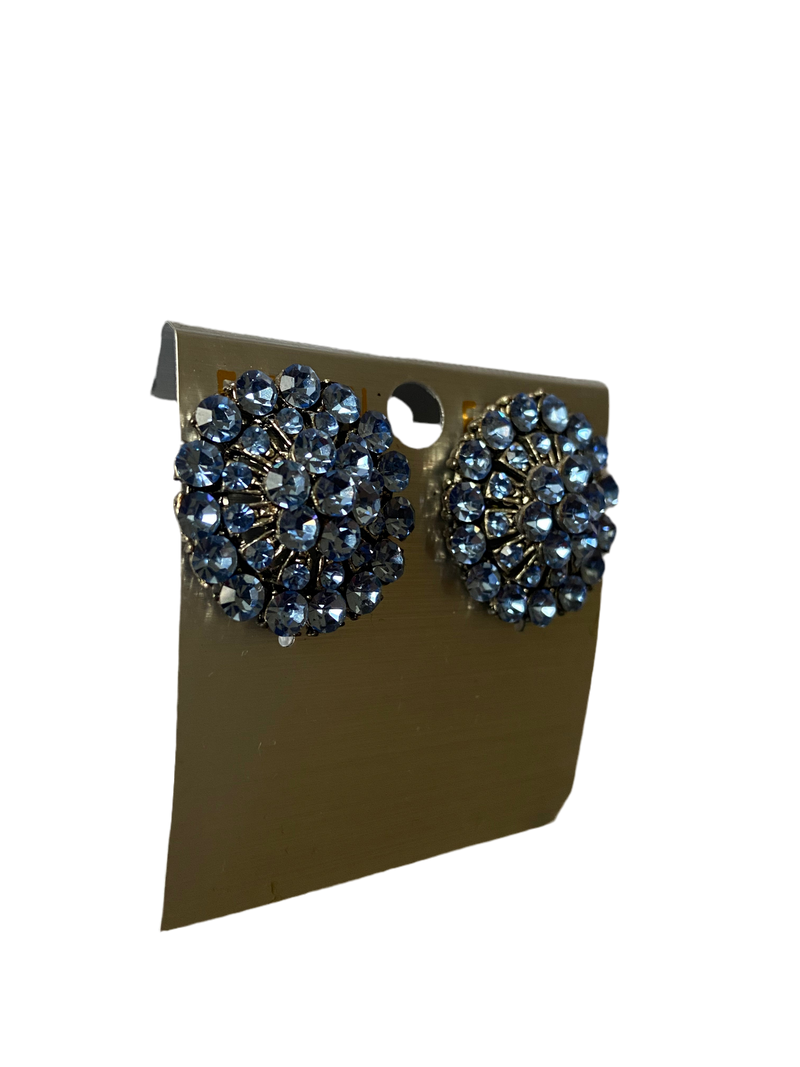 Stud Earrings (Blue)