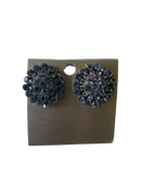 Stud Earrings (Blue)