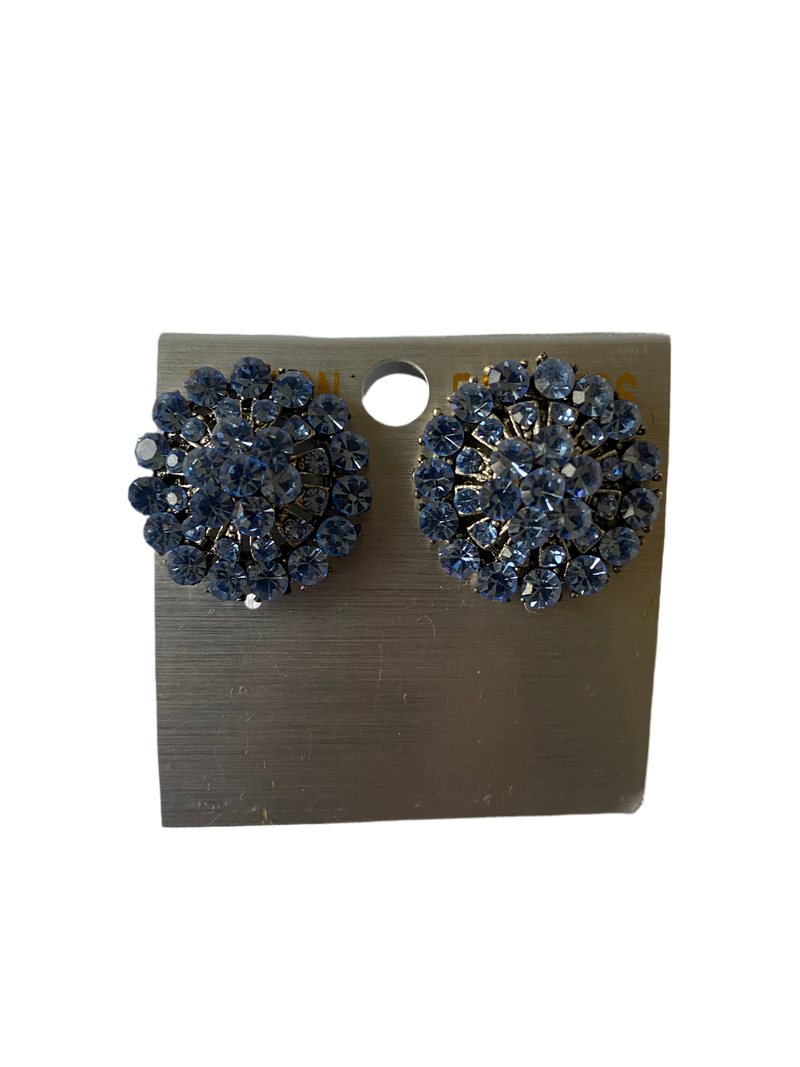 Stud Earrings (Blue)