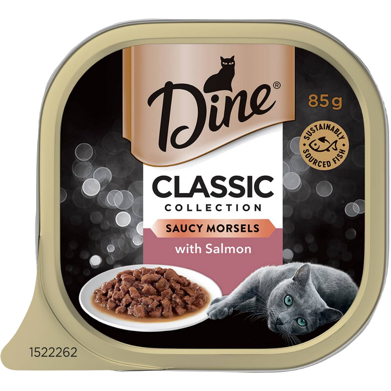Dine Wet Cat Food Salmon 85g