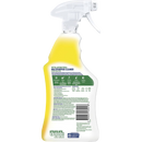 Dettol Multipurpose Cleaner Surface Spray Disinfectant Citrus 750ml
